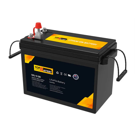 Top Lithium Battery (LiFePO4) Battery 12.8V 300Ah