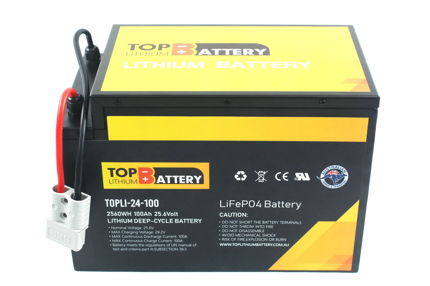 Top Lithium Battery 24V 100Ah Lithium Iron Phosphate Battery Rechargeable Replace AGM GEL