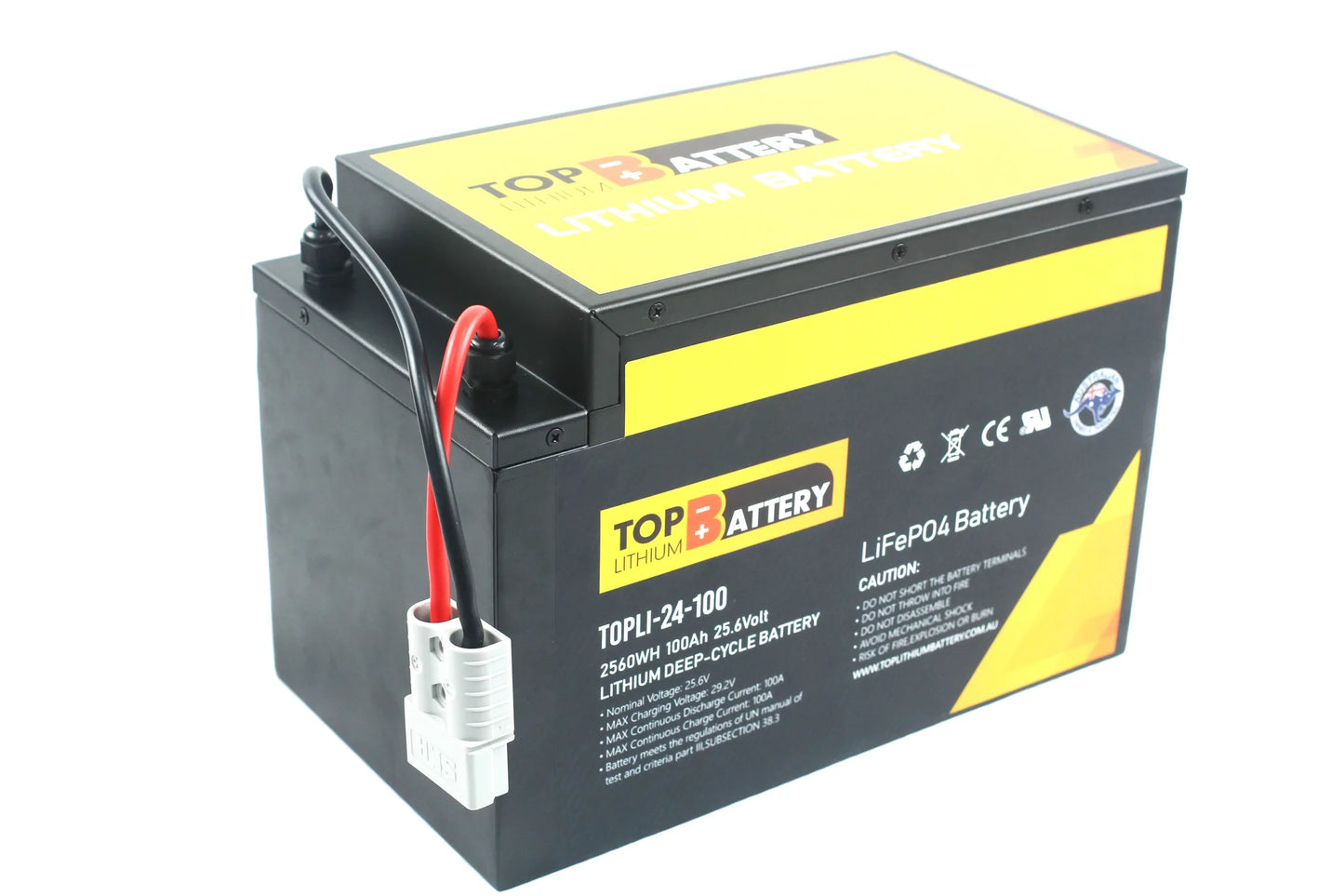 Top Lithium Battery 24V 100Ah Lithium Iron Phosphate Battery Rechargeable Replace AGM GEL