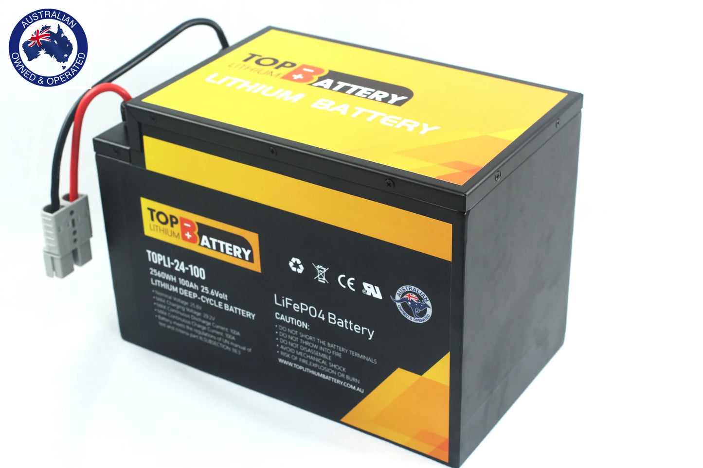 Top Lithium Battery 24V 100Ah Lithium Iron Phosphate Battery Rechargeable Replace AGM GEL